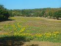 2016-09-21 11-06-04 Le Causse de Beduer MBo